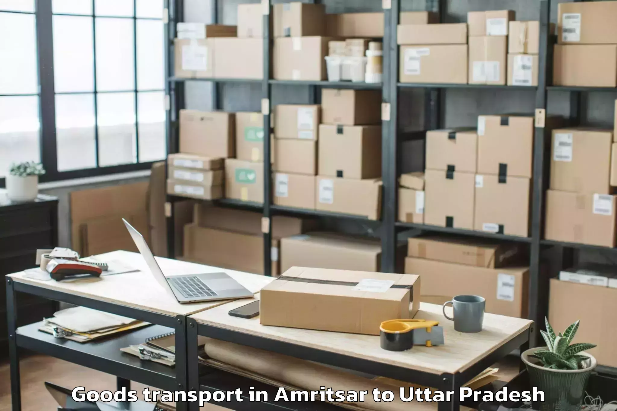 Book Amritsar to Meerganj Goods Transport Online